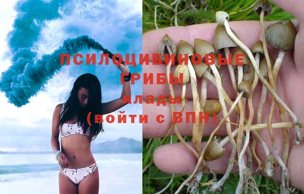 индика Богородицк