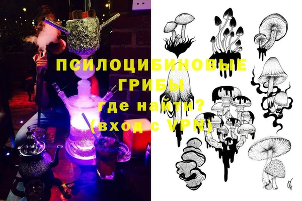 СК Богородск