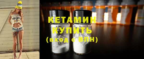 индика Богородицк