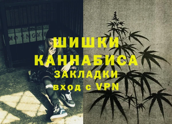 apvp Белокуриха