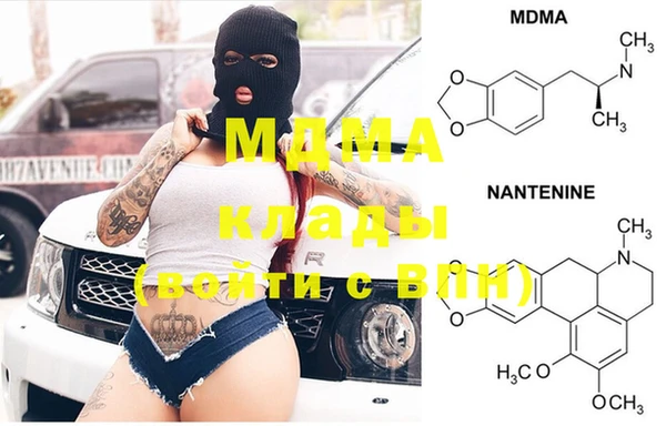 индика Богородицк