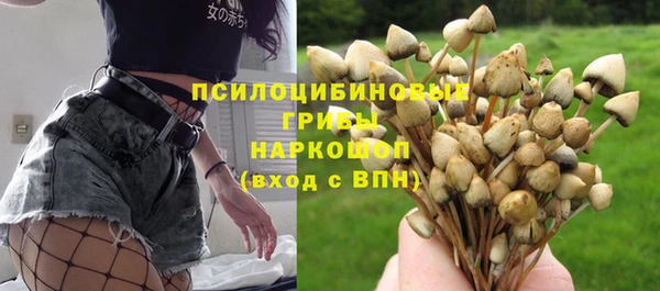 индика Богородицк