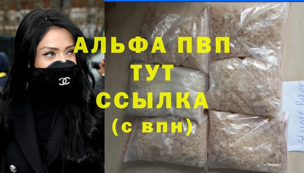 индика Богородицк