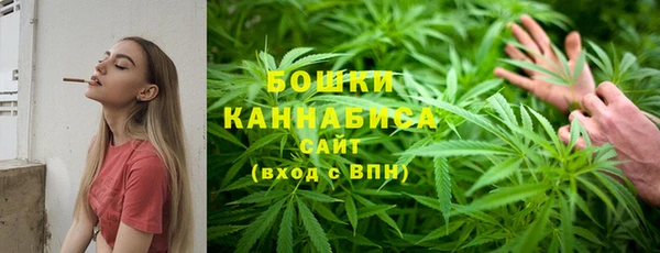 СК Богородск
