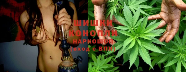 индика Богородицк