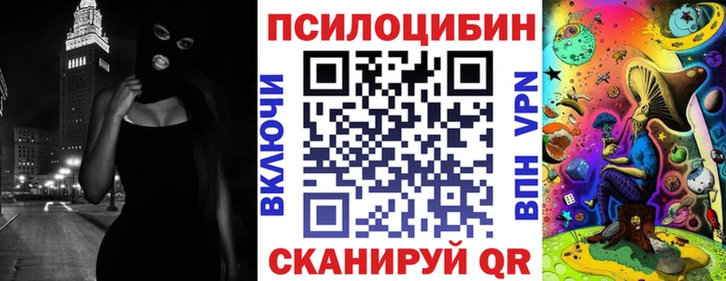 blacksprut сайт  Волчанск  Псилоцибиновые грибы Psilocybine cubensis 